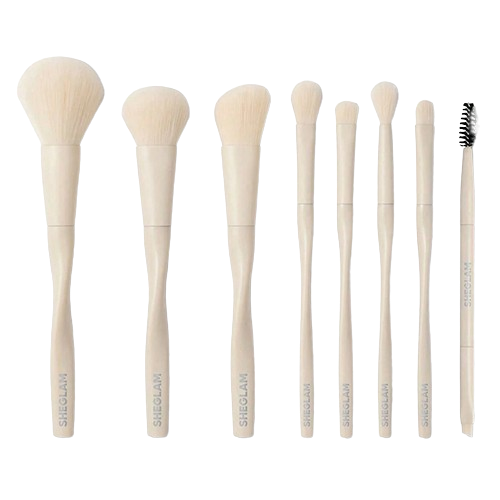 ست براش 8 عددی Pro Core شیگلم